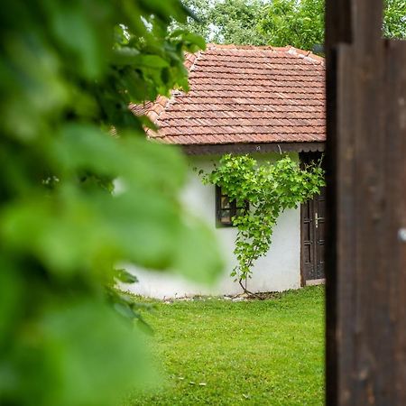 Vrnjačka Banja Lodge Morava מראה חיצוני תמונה